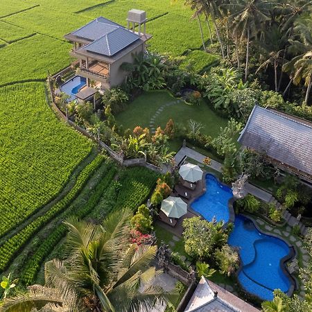 Gynandha Ubud Cottage Kültér fotó