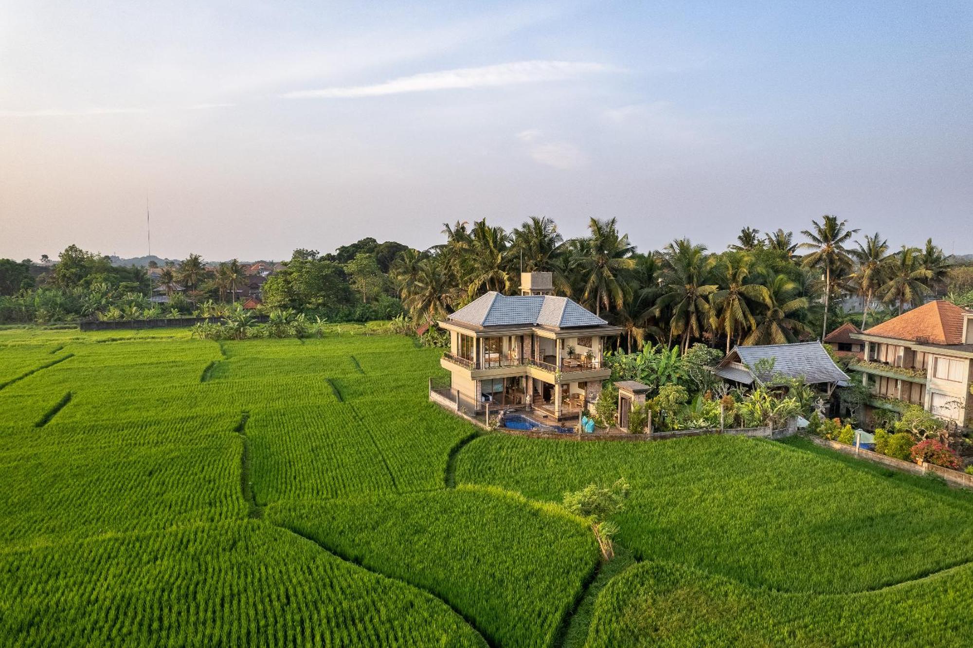 Gynandha Ubud Cottage Kültér fotó