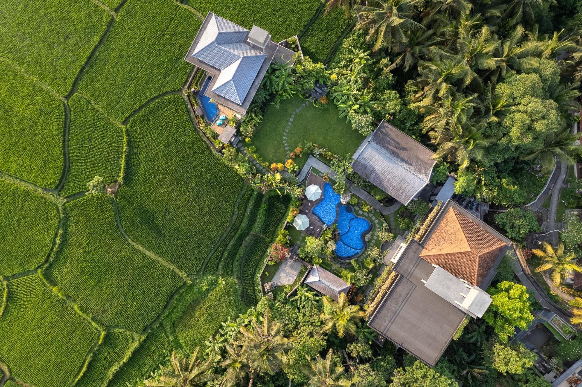 Gynandha Ubud Cottage Kültér fotó