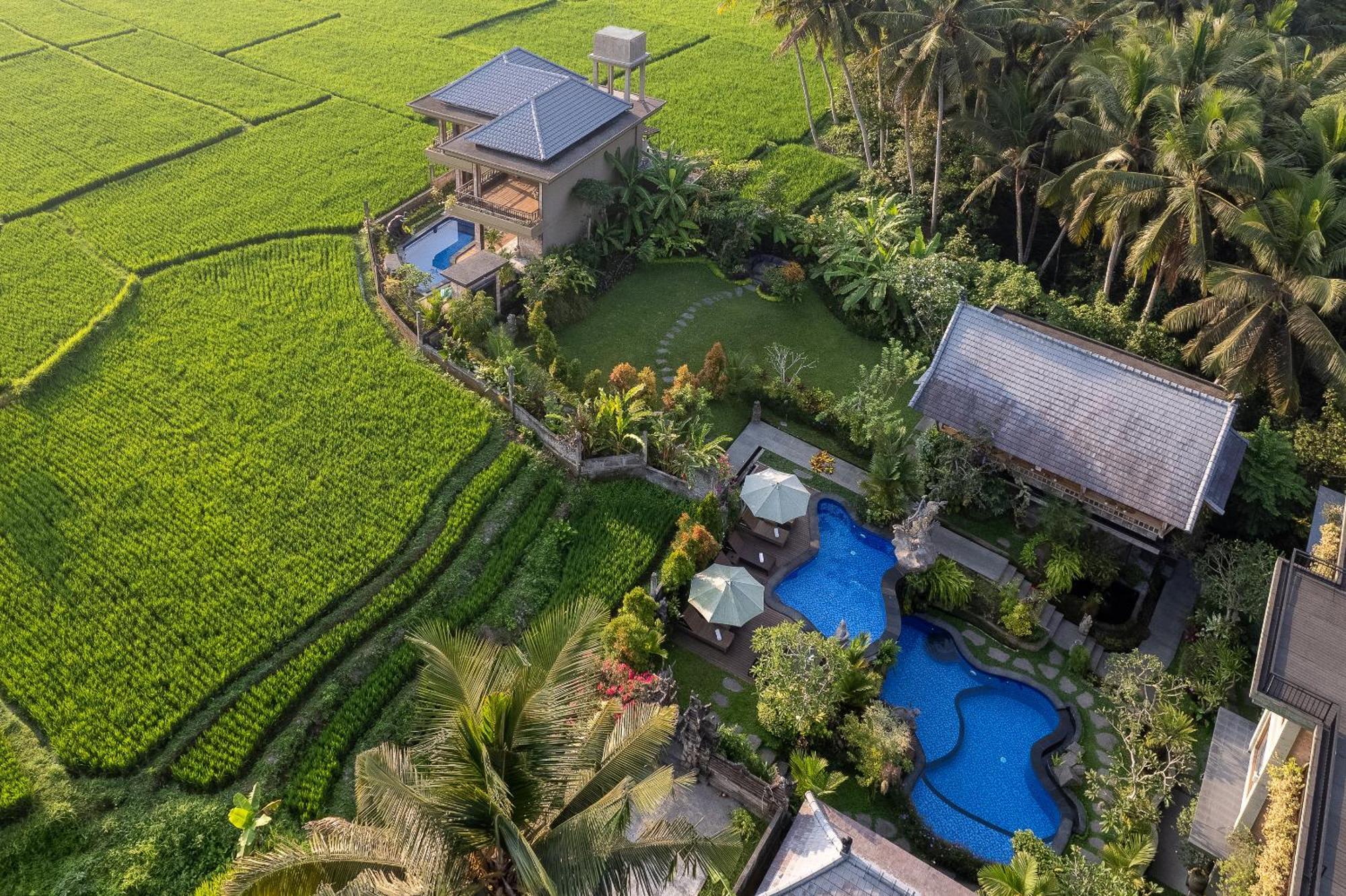 Gynandha Ubud Cottage Kültér fotó